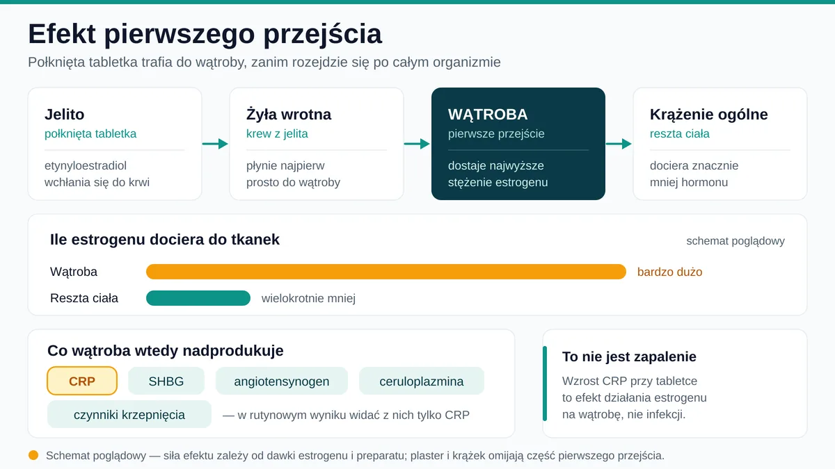 Droga tabletki antykoncepcyjnej przez wątrobę i efekt pierwszego przejścia estrogenu