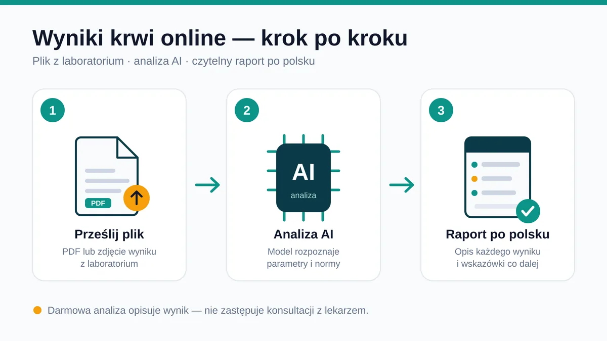 Jak zinterpretować wyniki krwi online za darmo — przesyłanie wyniku do analizatora AI