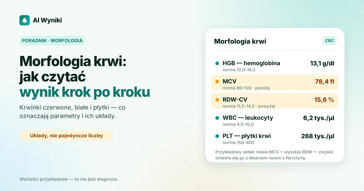 Wynik morfologii krwi z zaznaczonymi blokami: krwinki czerwone, krwinki białe z rozmazem i płytki krwi