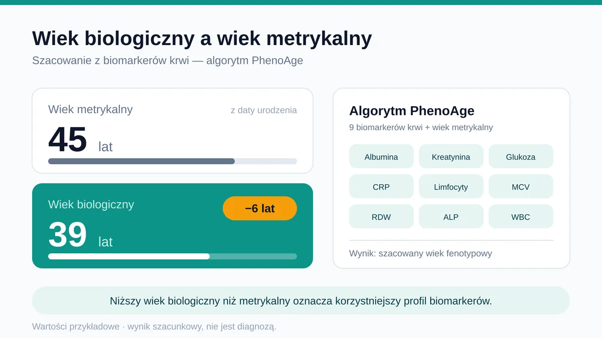 Kalkulator wieku biologicznego oparty na algorytmie PhenoAge